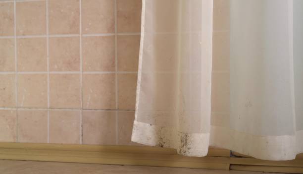 Best Mold Remediation for Healthcare Facilities  in New Brighton, PA