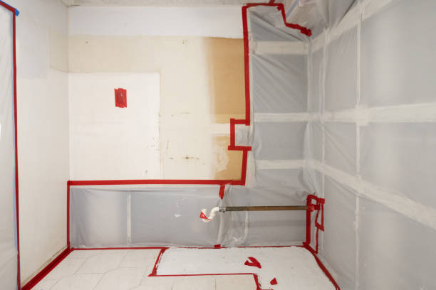 Best Mold Damage Restoration  in New Brighton, PA